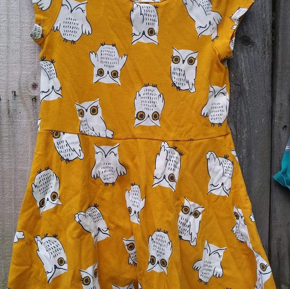 Cat & Jack Dress